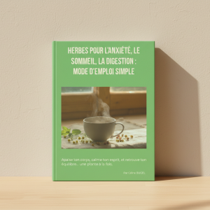 Herbes pour l’anxiété, le sommeil et la digestion – Guide simple et naturel